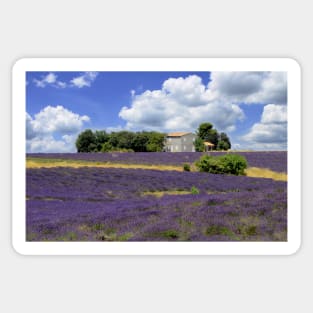 The house in the lavander Sticker